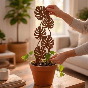 Estaca de madera para plantas, soporte para monstera, enrejado para plantas, soporte para plantas de interior, enrejado para plantas de interior, estaca para macetas, soporte de madera para plantas