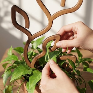May include: A dark brown wooden plant trellis with a stylized leaf-shaped frame design. The trellis is positioned upright within a potted green pothos plant, featuring smooth, curved edges and a cutout structure that supports the trailing vines.