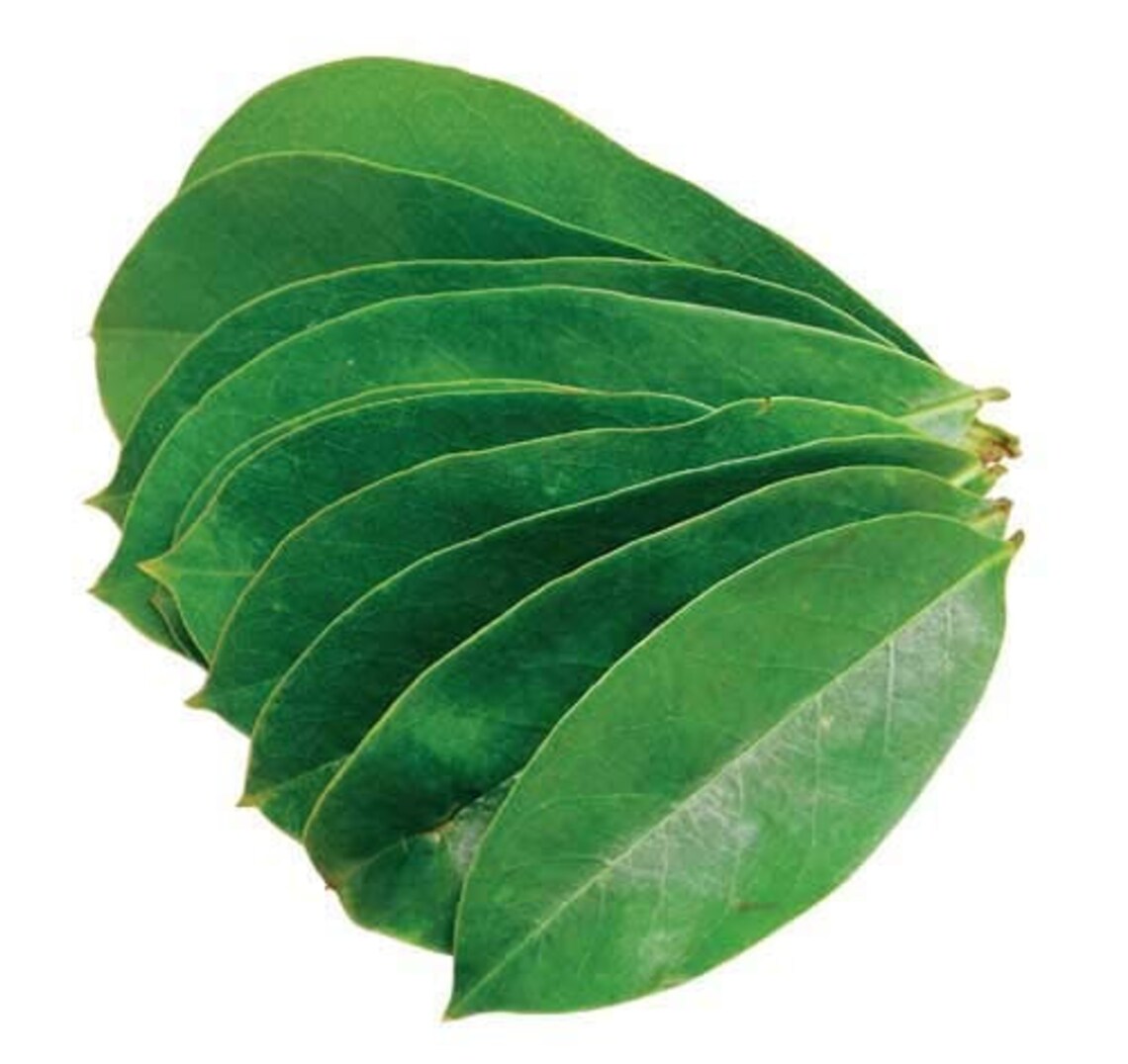 1000 Soursop Leaves, Dried Guanabana Leaf for Tea, Annona Muricata