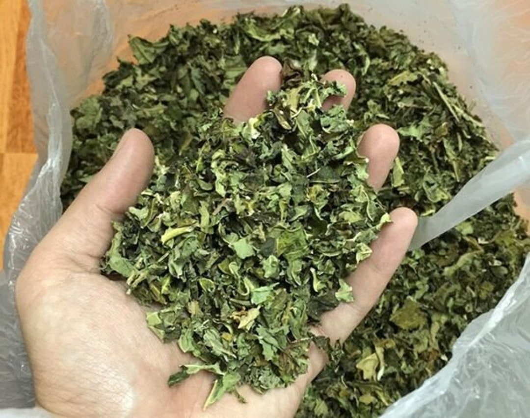 Papaya Leaves, 100 Natural Papaya Leaf Cut and Sifted Leaves & Powder