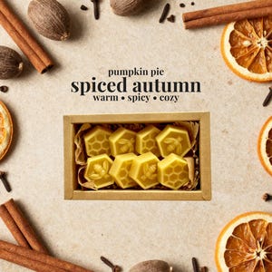 May include: A rectangular cardboard box containing eight yellow hexagonal wax melts, each embossed with a bee or honeycomb pattern. The text "pumpkin pie spiced autumn warm &bull; spicy &bull; cozy" is printed above the box, surrounded by cinnamon sticks, dried orange slices, nutmeg, and cloves.