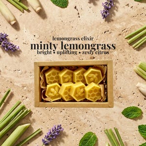 May include: A rectangular cardboard box containing eight yellow hexagonal wax melts, each embossed with a bee or honeycomb pattern. The text "lemongrass elixir", "minty lemongrass", and "bright &bull; uplifting &bull; zesty citrus" is printed above the box.
