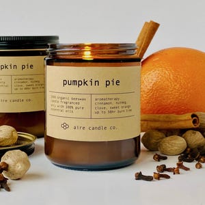 Pumpkin Pie 8 oz candle with scent notes surrounding it: orange, nutmeg, clove and cinnamon sticks.