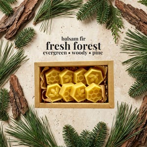 May include: A rectangular cardboard box containing eight yellow hexagonal wax melts, each embossed with a bee or honeycomb pattern. The text above the box reads: balsam fir, fresh forest, evergreen, woody, pine.