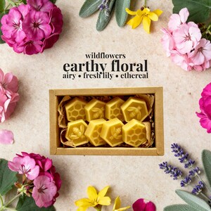 May include: A rectangular cardboard box containing eight yellow wax melts in hexagonal shapes, some embossed with bee and honeycomb patterns. The text above reads: wildflowers, earthy floral, airy, fresh lily, ethereal. Surrounded by pink flowers.