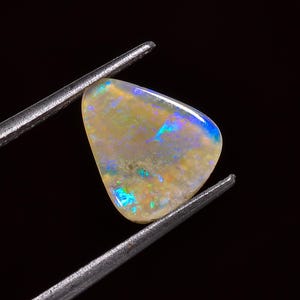 May include: A pear-shaped opal gemstone featuring a translucent, pale yellow base with vibrant flashes of blue and green iridescence throughout the surface, held securely by a pair of silver-toned metal tweezers against a solid black background.