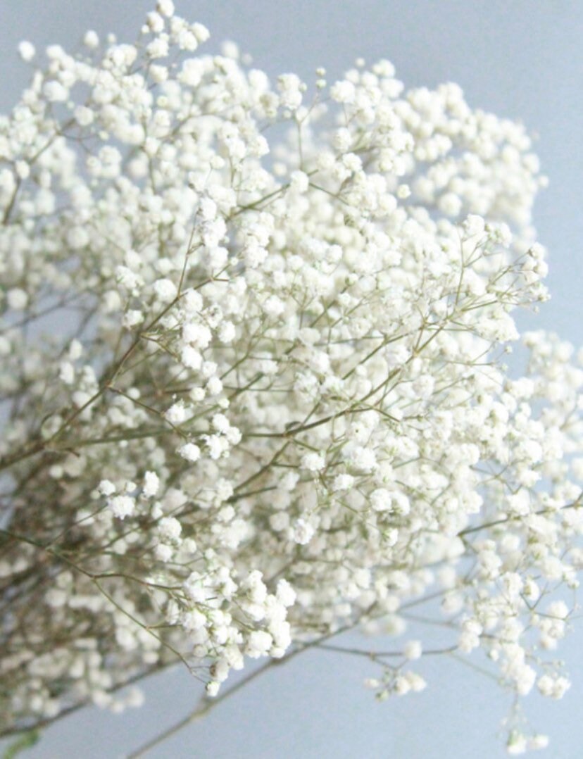 Artificial Babys Breath Fake Flowers Wedding Table Centerpieces Latex Faux  Babysbreath Bunches Gypsophila, White Babys Breath CXW-A01 