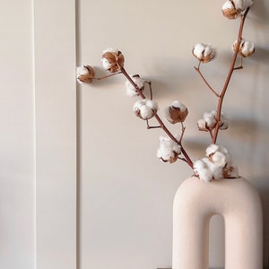 Tall Natural Dried Cotton Stems | Fluffy Cotton | XL Cotton Stems