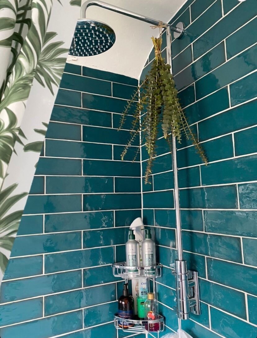 Eucalyptus Shower Bunches Fresh Eucalyptus Baby Blue Etsy UK