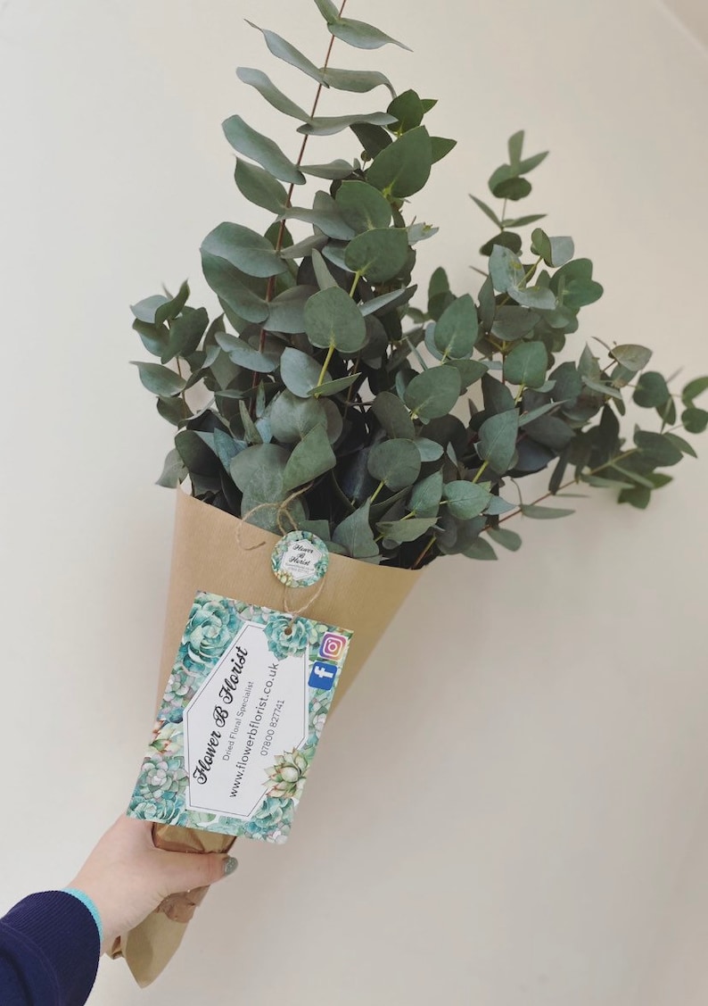 Puede incluir: Un ramo de hojas frescas de eucalipto en un cono de papel marr&oacute;n. Las hojas son de color verde apagado. Una etiqueta con el texto "Flower B Florist" est&aacute; adjunta al ramo.