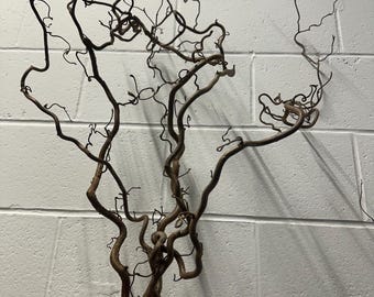 80cm Tall Twisted Willow Stems | Natural Decor