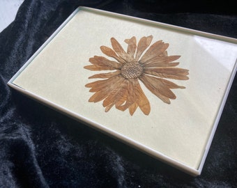 Pressed Framed Flower