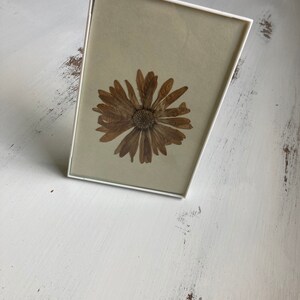 Pressed Framed Flower image 3