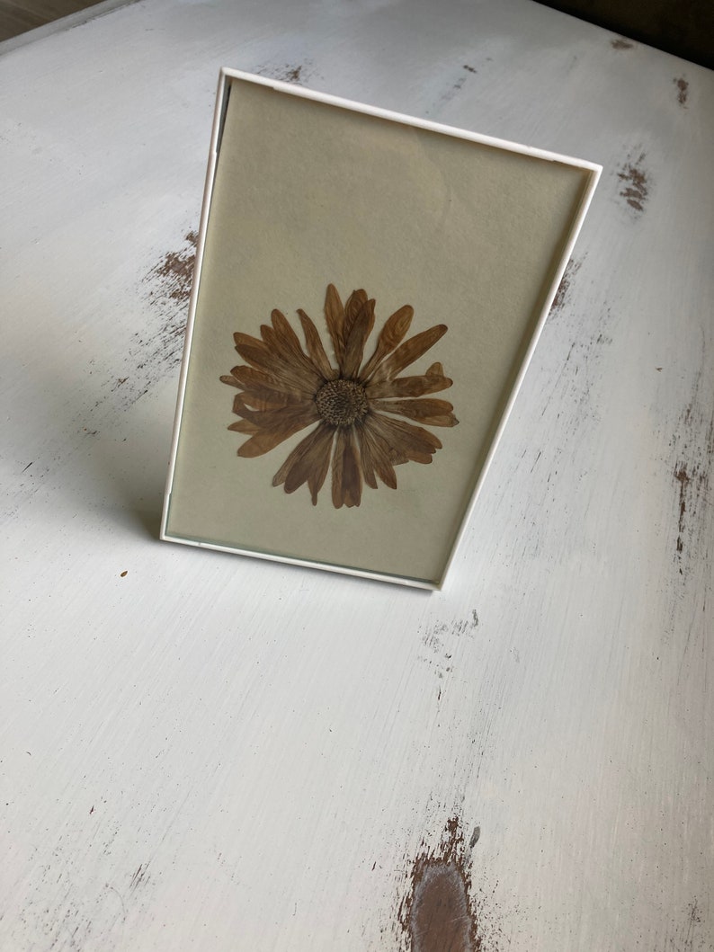 Pressed Framed Flower image 3