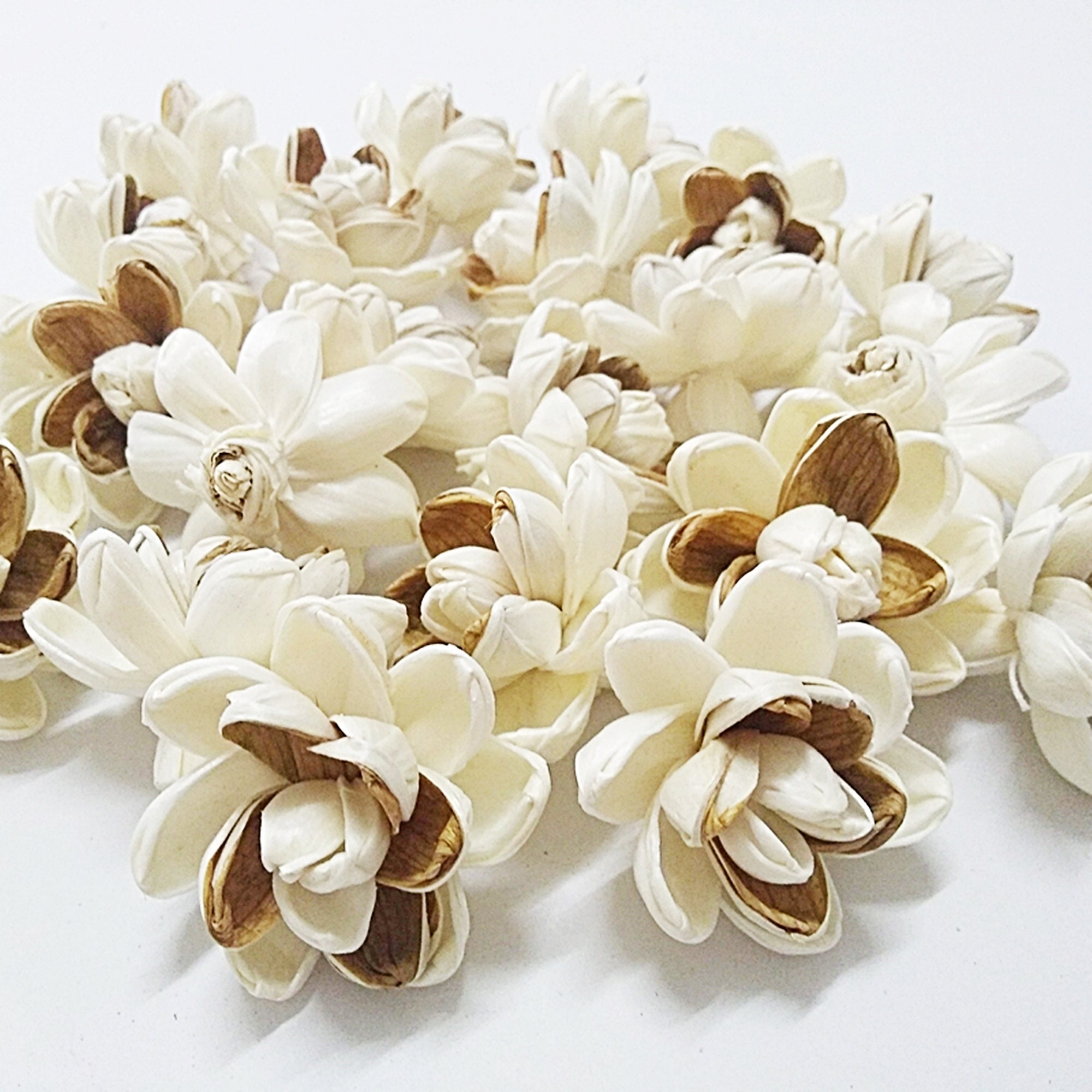 5 Cm. Brown Magnolia Lotus Floral Dried Flower Sola Wood Etsy