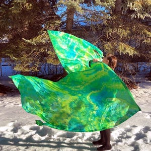 May include: A person holding two large, flowing fabric panels. The panels are dyed in shades of green and blue, with a tie-dye or watercolor effect. The background includes snow, trees, and a blue sky.