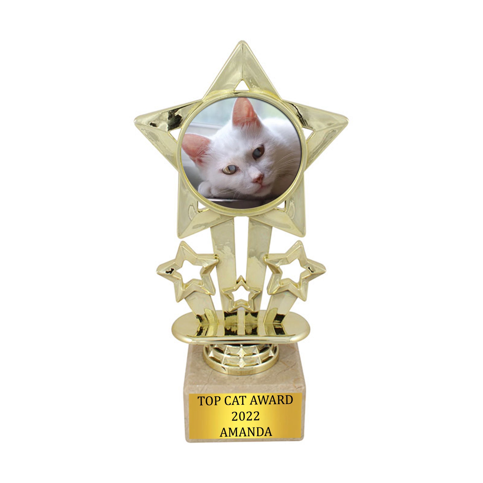 Customized TOP CAT Award with Photo and Text, Free Wording, Achievement Statue, Gift for the Best Cat/ Pet, Marble base