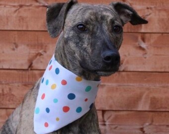 dots galore waterproof dog bandana