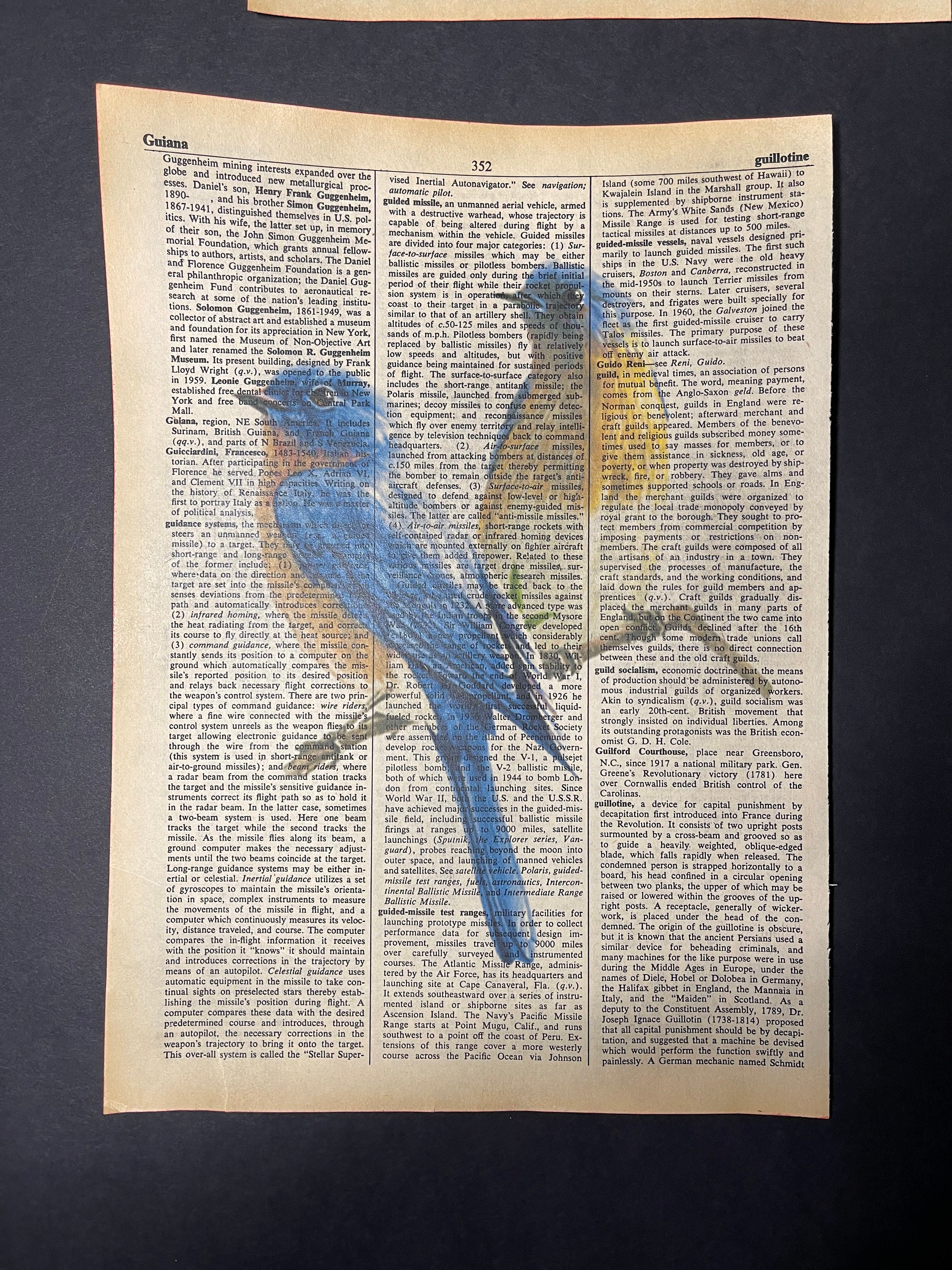 Bird Dictionary Art Print Vintage Recycled Book Page Etsy UK