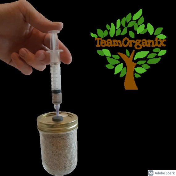 BRF Jar PF Tek Inoculation Jar Mushroom Grow Jar Mushroom Etsy