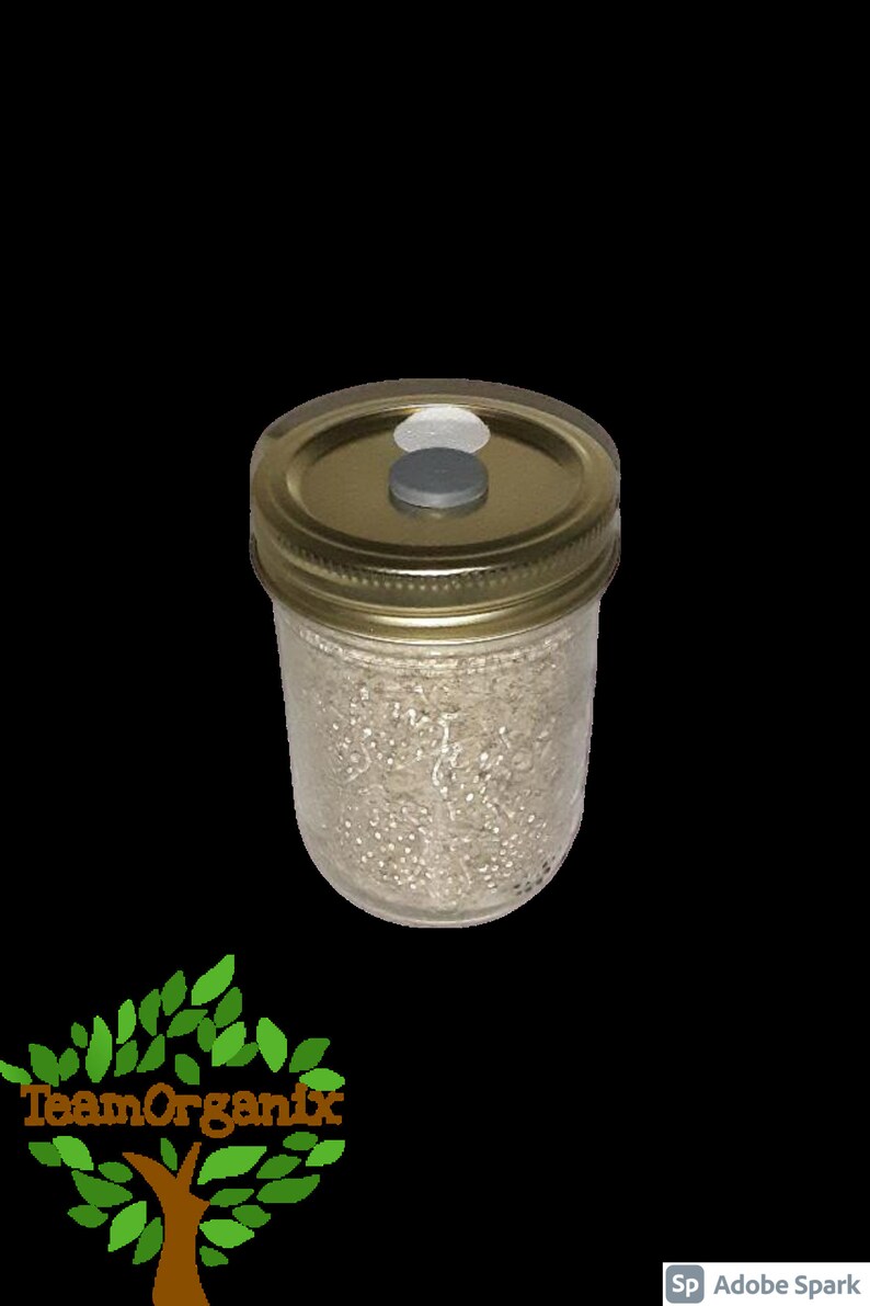 BRF Jar PF Tek Inoculation Jar Mushroom Grow Jar Mushroom Etsy