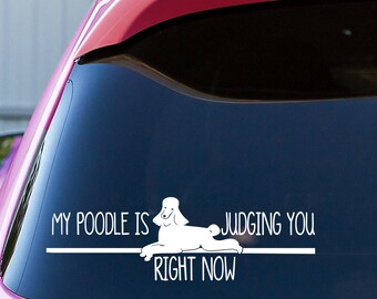 May include: A white vinyl sticker with a white poodle silhouette and the text "My Poodle is Judging You Right Now" on a pink car window.