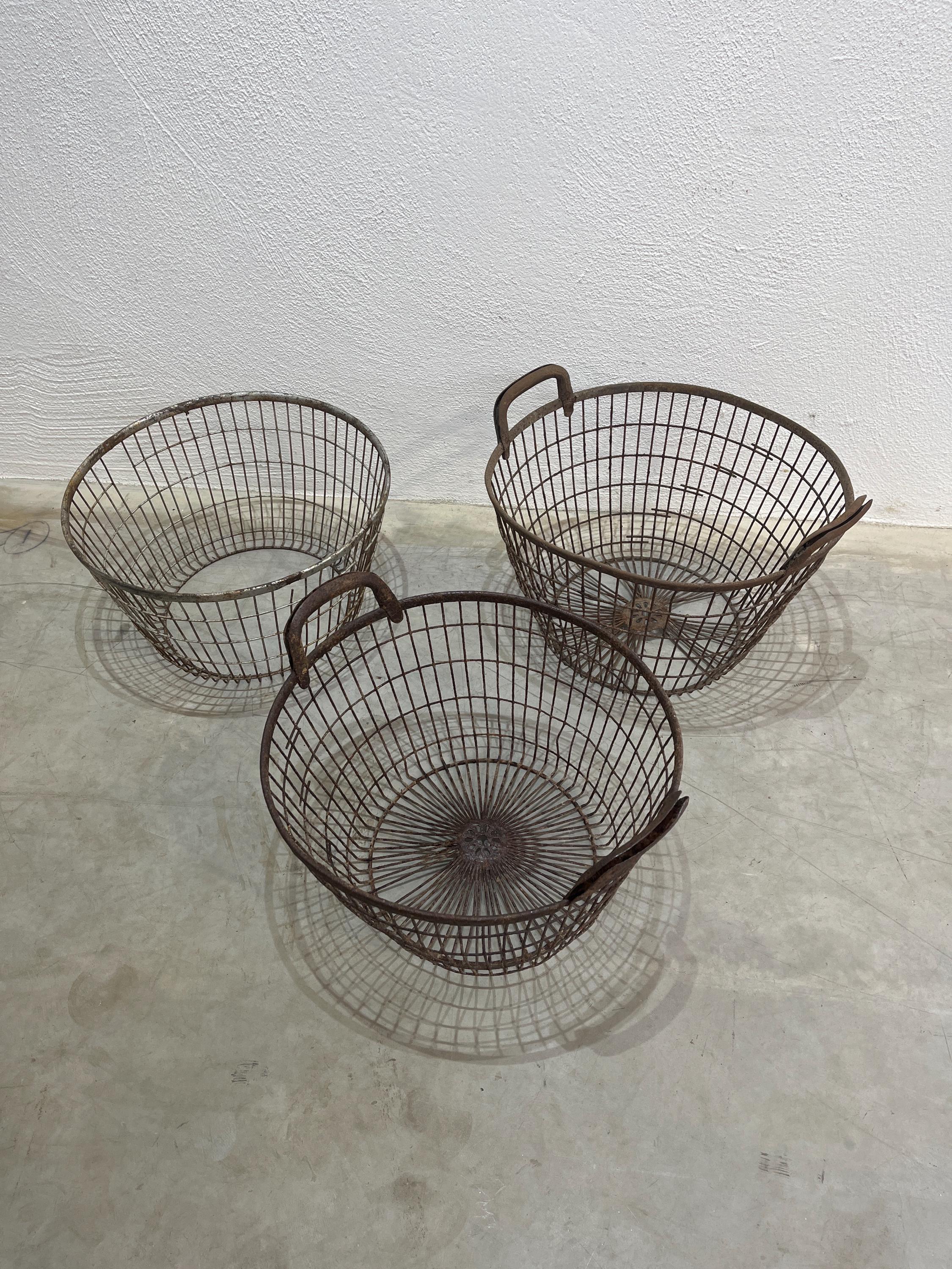 Ancienne Corbeille En Fil De Fer - Tomado - Plate, Pour Cuisine