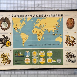 Oelpflanzen Vintage Rollkarte