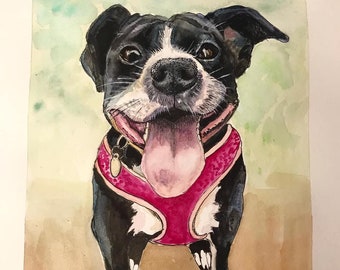 Custom Watercolor, Hand-Painted Pet Portrait