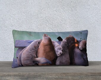HeatherMonroeLangPhoto "Sea Lion Cuddles Santa Cruz"  Pillowcase