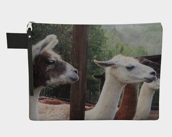 HeatherMonroeLang photography "Tennessee Llama Chilin'"