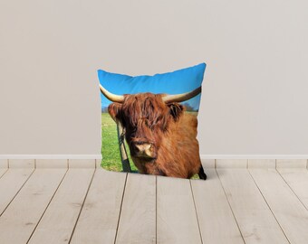 Throw Pillow Cover