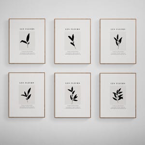 Może przedstawiać: Sześć oprawionych wydruków o minimalistycznym designie, przedstawiających czarne sylwetki liści i tekst "Les Fleurs" na białym tle.