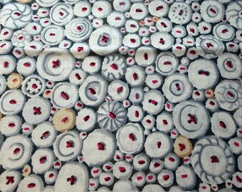 1/2 Yd  “Button Mosaic ” Kaffe Fassett Cotton Fabric by Free Spirit C