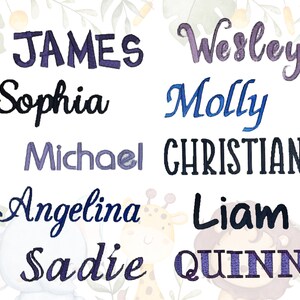 May include: A white background with a variety of names written in different colors and styles. The names are: James, Sophia, Michael, Angelina, Sadie, Wesley, Molly, Christian, Liam, and Quinn.