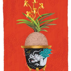 Neofinetia Kibana Print 8.5”x11”