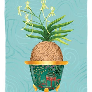 Neofinetia Hisui Print 8.5”x11”