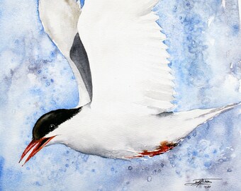 Original Common Tern bird Watercolor art, original painting, bird watching, beach, ocean décor, sea bird, painting, watercolor, sand bird,