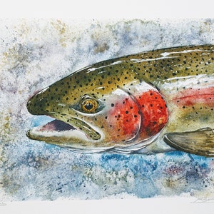 Rainbow Trout, watercolor, giclee print, fly fishing, fishing art, trout painting