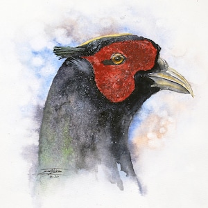 Pheasant Head Original Watercolor painting, fine art, hunting, birding, décor, lodge, sportsman, country, rustic, farmhouse, wall hanging