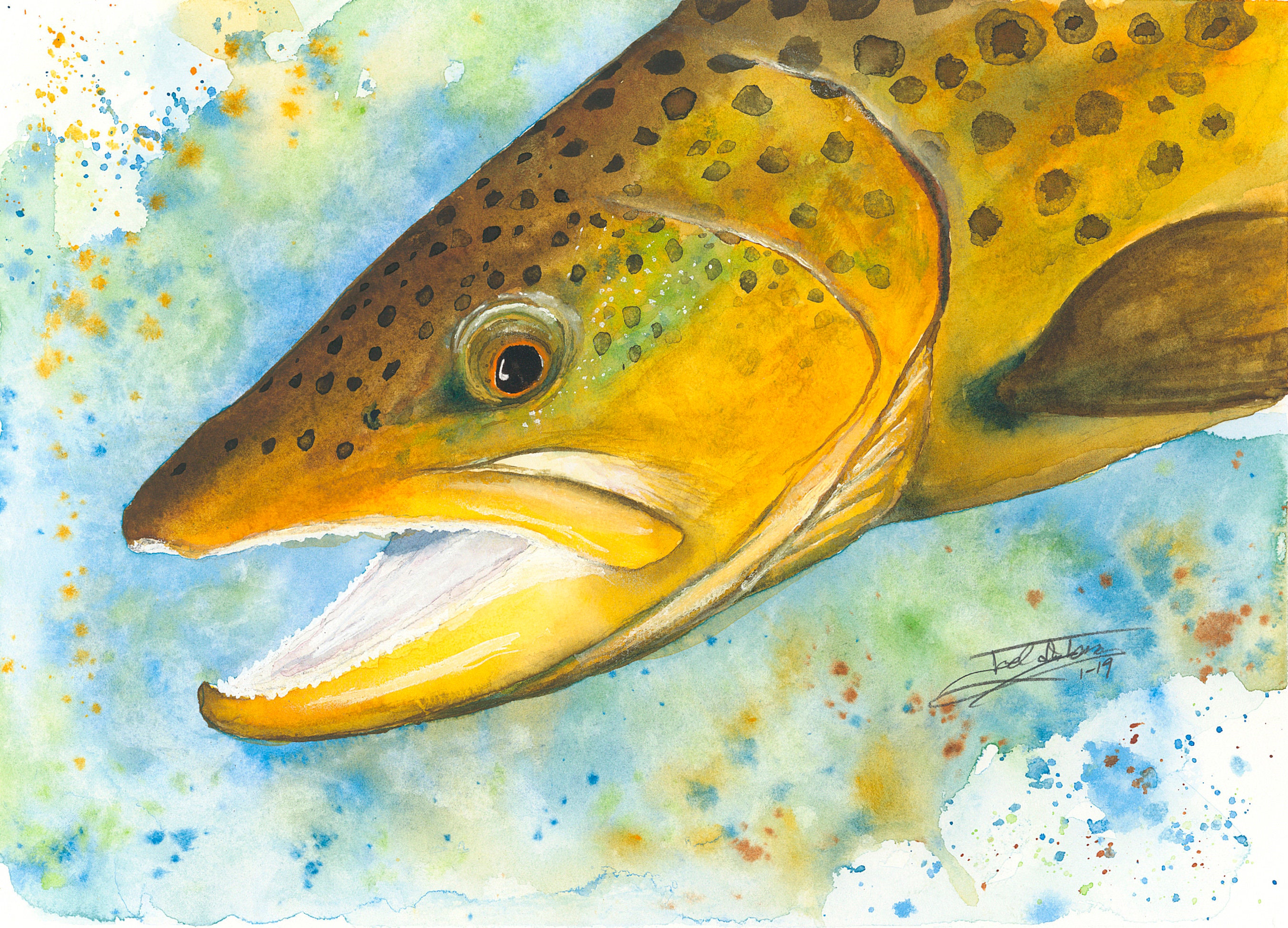 Golden Brown Trout Original Watercolor artwork trout Etsy