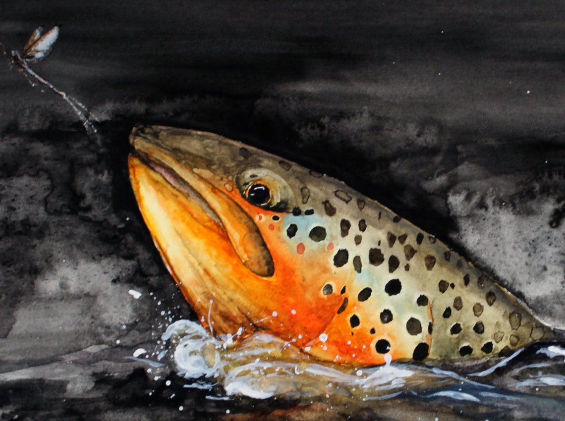 Brown Trout Rising Original Watercolor, Fly Fishing, Fine Art, Trout