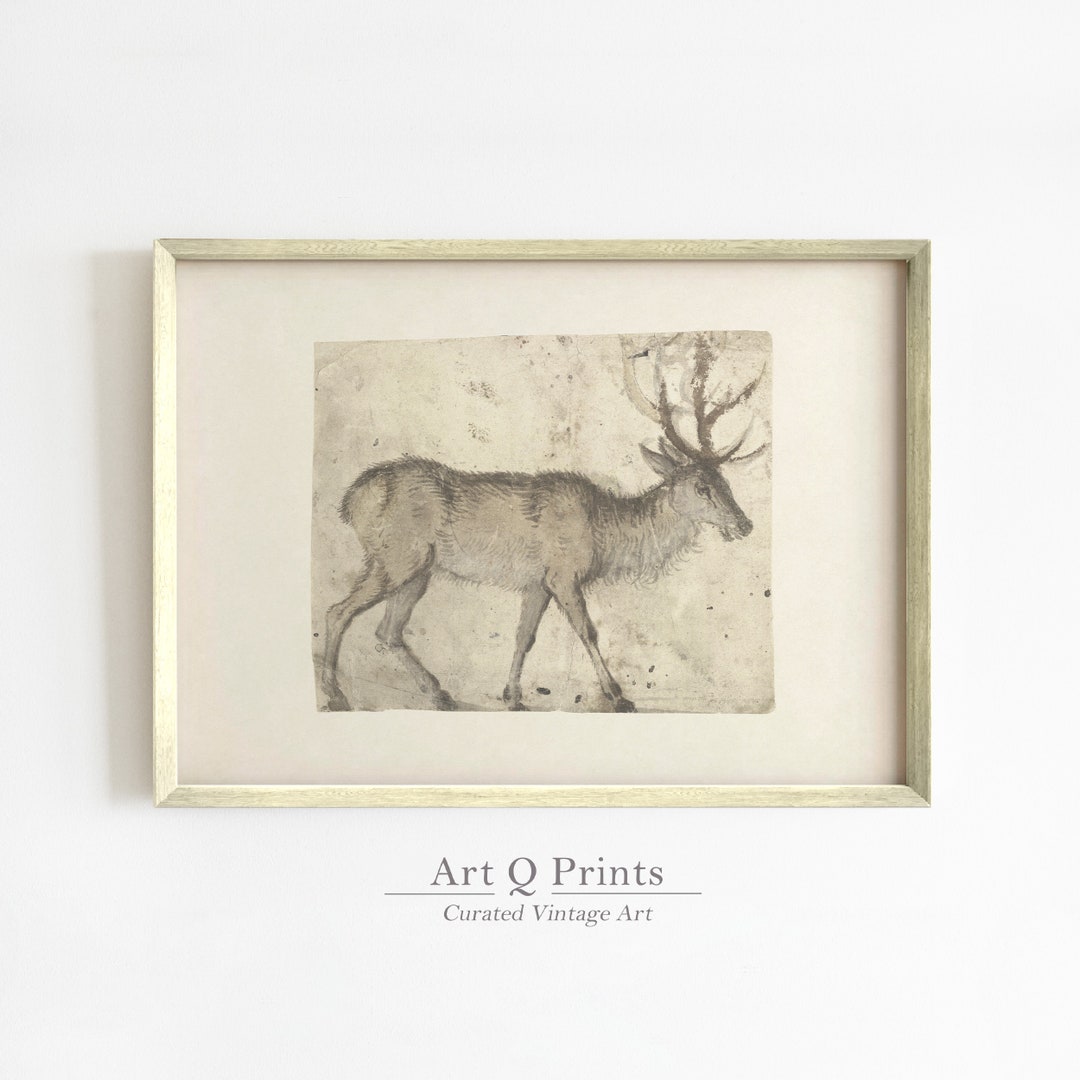 Deer Print, Wall Art Printable, Vintage Illustration, Monochrome
