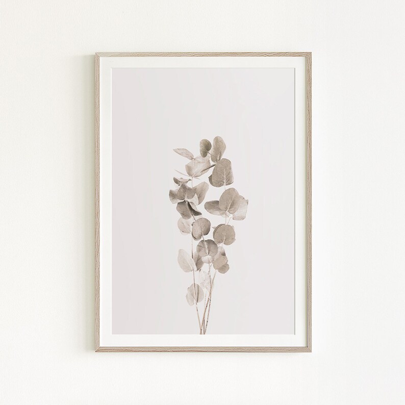 Botanical Printable Eucalyptus Photo Tropical Plant Plant Eucalyptus Farmhouse Poster Eucalyptus Print Interior Decor Natural Tones