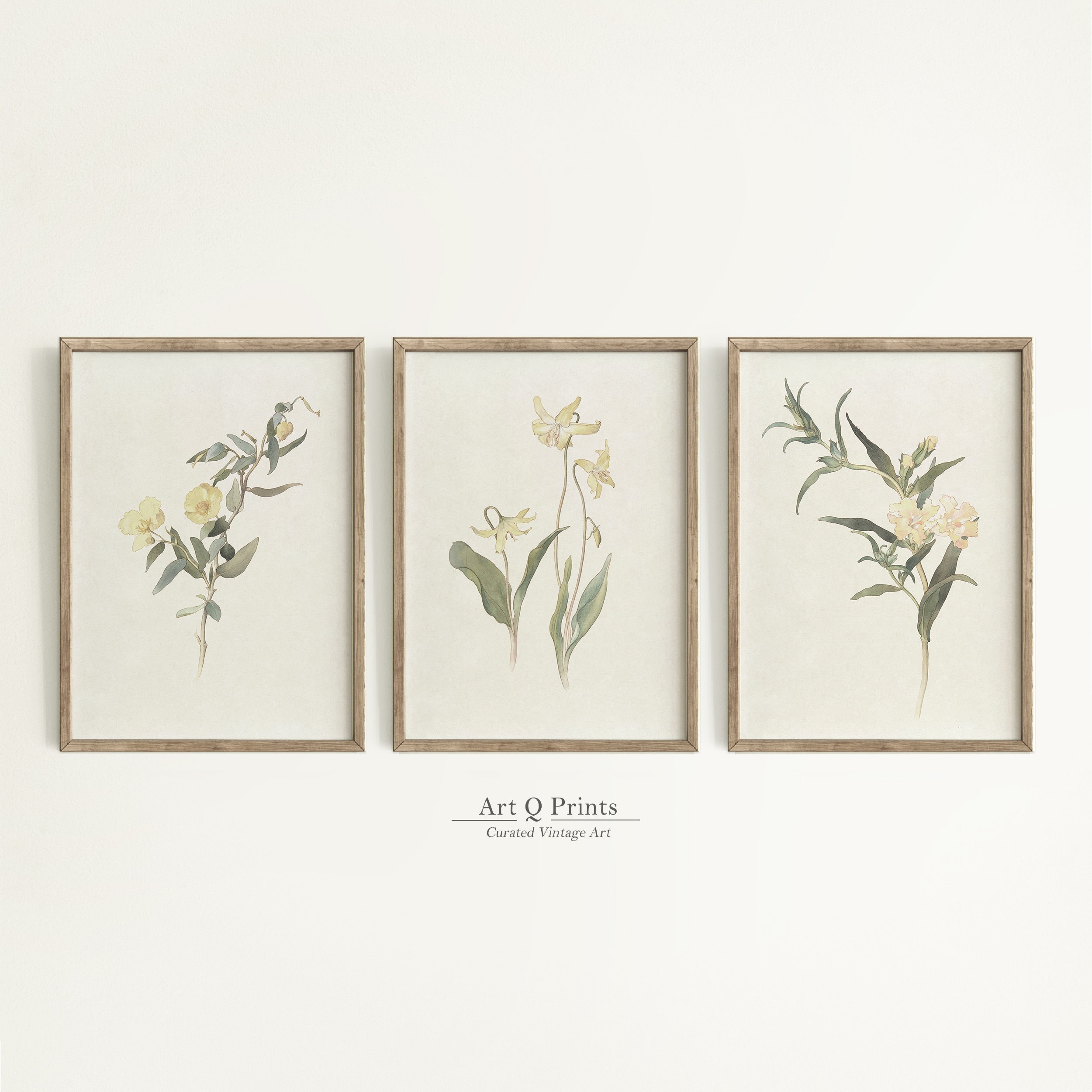 Set of 3 Botanical Prints, Pastel Watercolor Paintings, Bright Yellow ...
