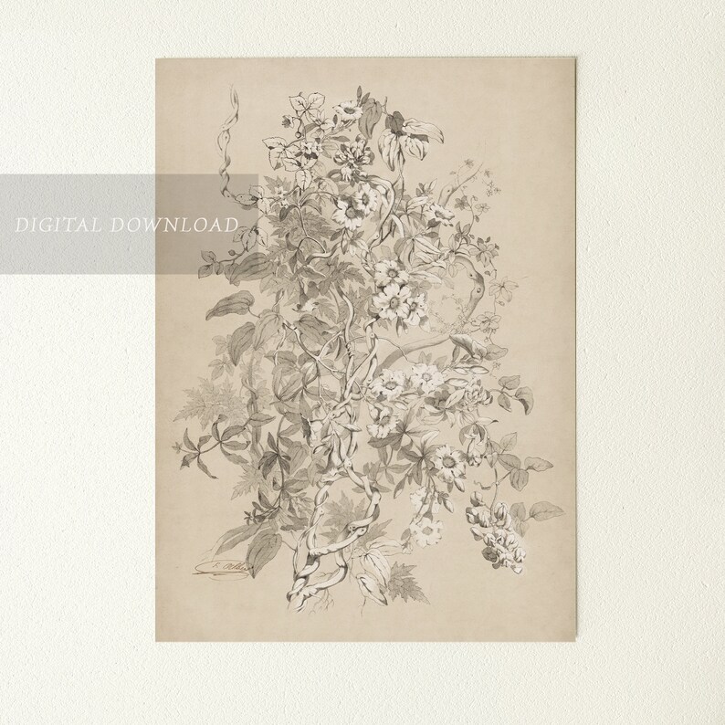 Botanical Floral Sketch Wall Art Print Vintage Drawing Etsy