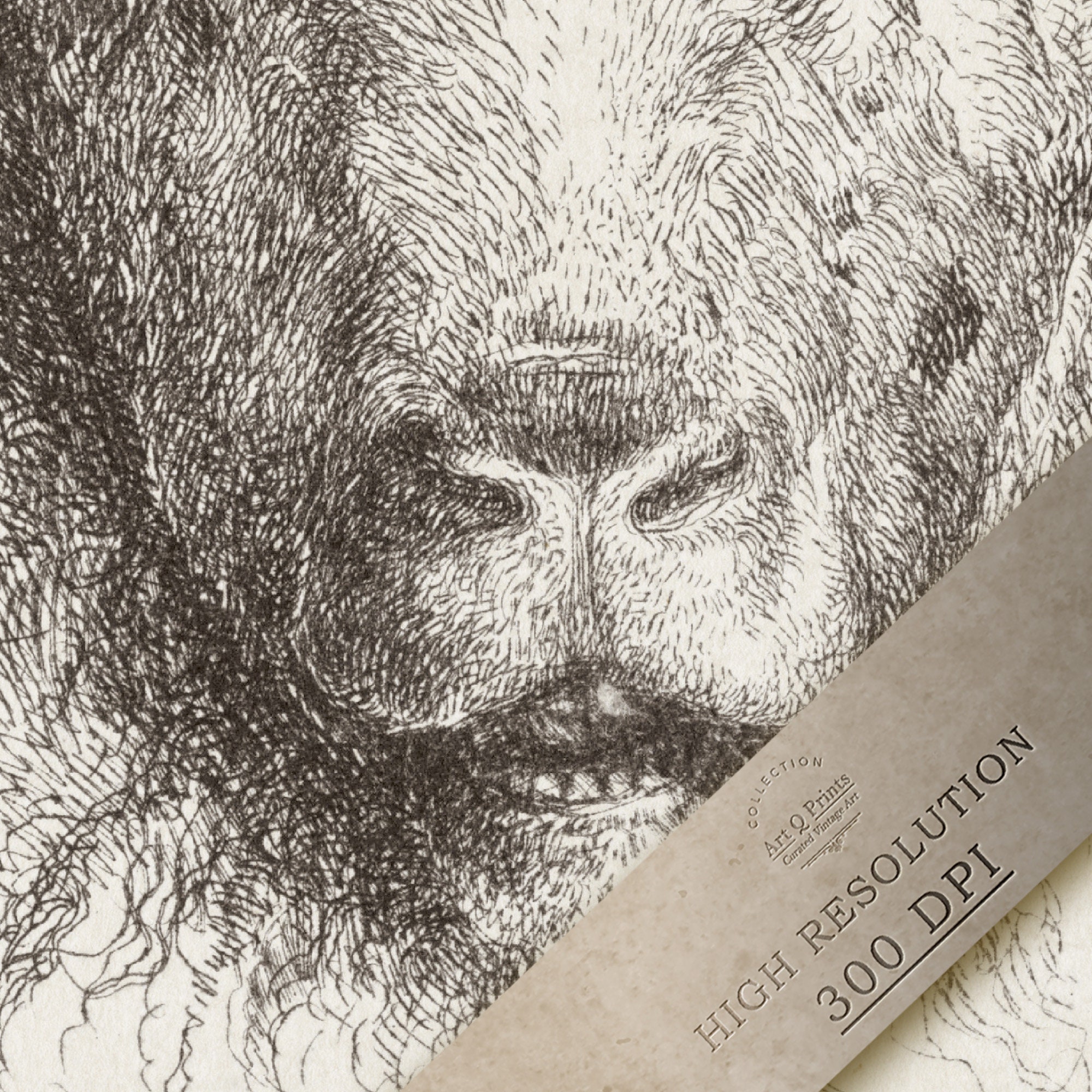 Sheep Head Print Wall Art Printable Vintage Illustration Pencil