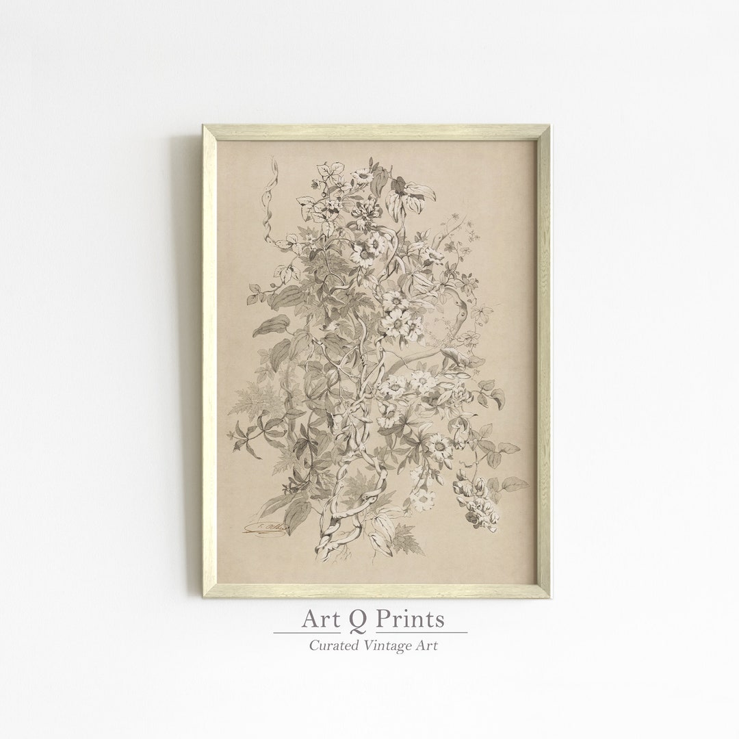 Botanical Floral Sketch Wall Art Print, Vintage Drawing, Graphite