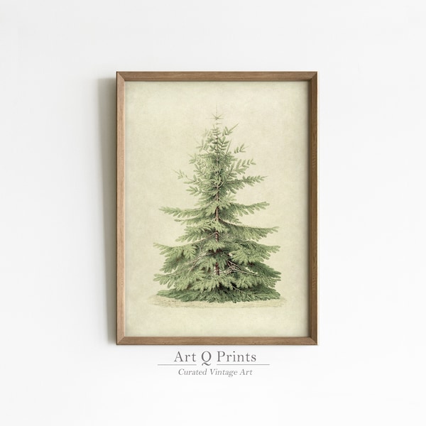Christmas Tree Print, Botanical Watercolor Painting, Wall Art Print, Vintage Decor, Farmhouse, Green Beige Color, Gift, INSTANT DOWNLOAD