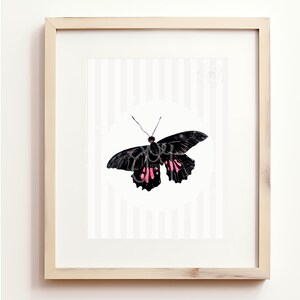 Peut inclure: Une impression d'art encadrée représentant un papillon noir avec des taches rose vif sur les ailes inférieures. Le papillon est centré dans un élément circulaire blanc sur un fond à rayures verticales gris clair et blanches.
